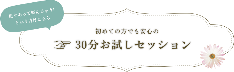 30分お試しセッション